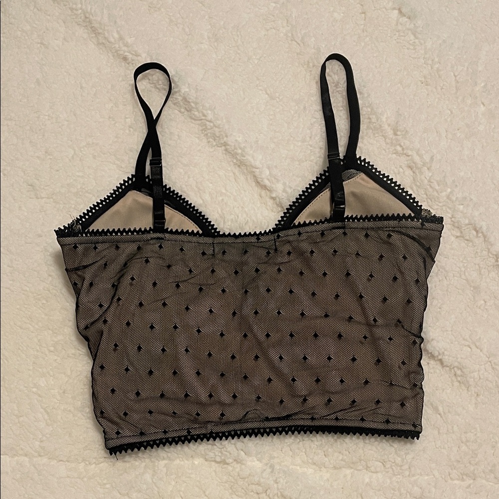 BKE Boutique Black Tan Lace Sheer Crop Top Corset Style Going Out Summer Top - Picture 5 of 10